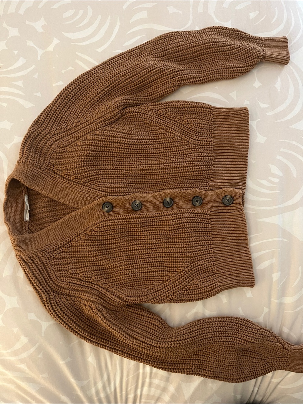 Everlane Chunky Knit Button-Front Cardigan - Brown